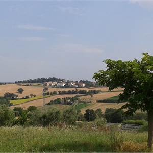 4-Zimmer-Wohnung oder mehr in Verkauf zu Osimo