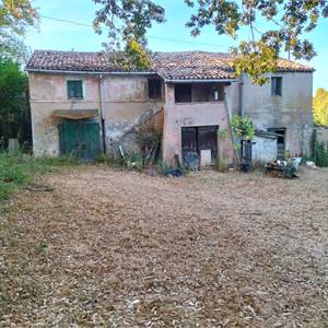 4 o più locali In Vendita a Ancona