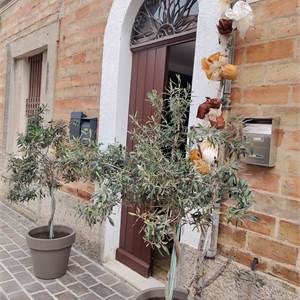 3 locali In Vendita a Osimo