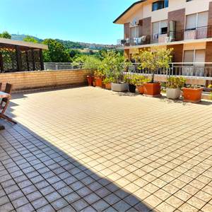 3 locali In Vendita a Ancona