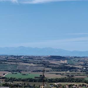 4-Zimmer-Wohnung oder mehr in Verkauf zu Osimo