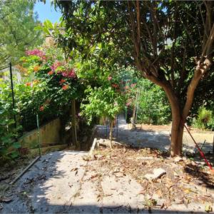 4 o più locali In Vendita a Ancona