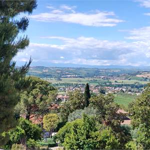 4 o più locali In Vendita a Osimo